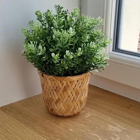 Lejlighed Victoire Saphir 203 Climatise De