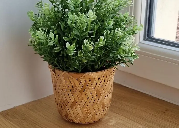 아파트 Victoire Saphir 203 Climatise De