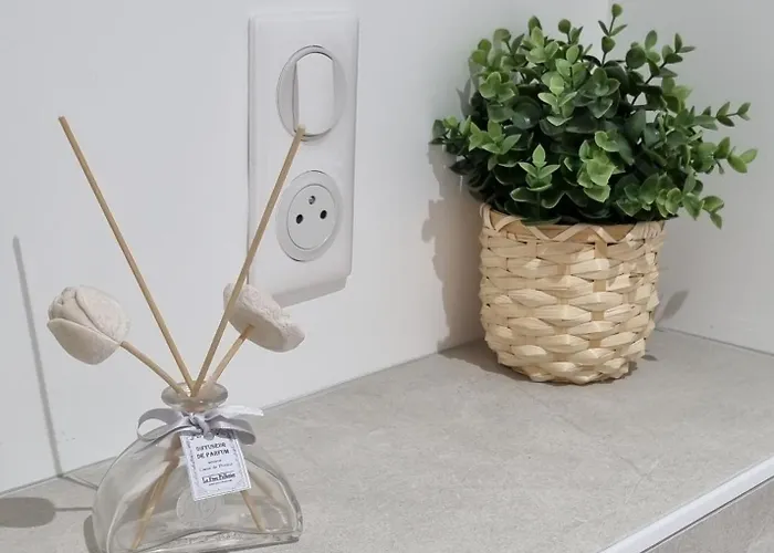 Victoire Saphir 203 Climatise De 생디지에